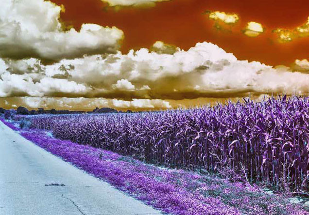 plant health monitoring