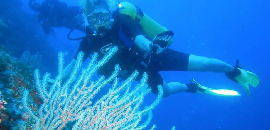 imgi_5_divesitesbnr1000x480.jpeg