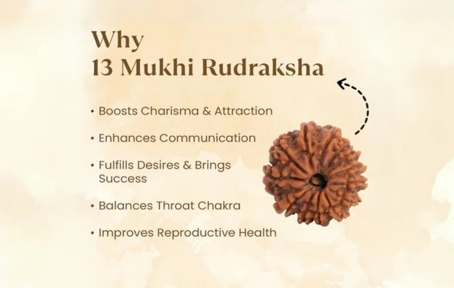 13mukhirudrakshabenefits.jpg