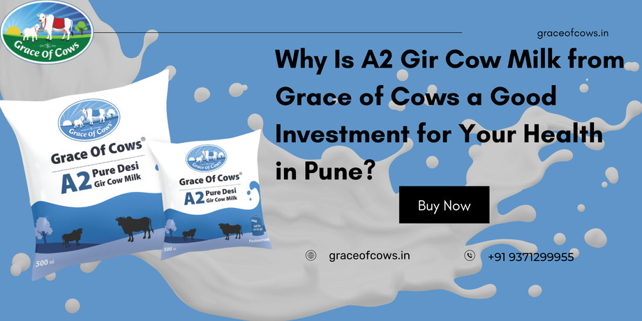 whyisa2gircowmilkfromgraceofcowsagoodinvestmentforyourhealthinpune.jpg