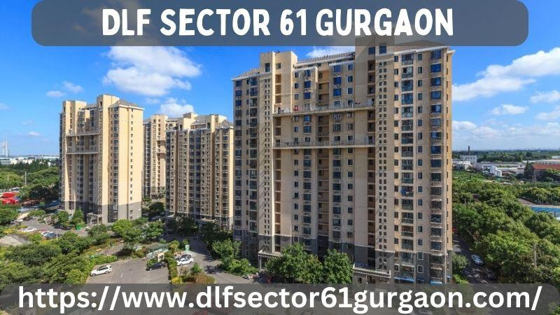 dlfsector61gurgaon2.jpg