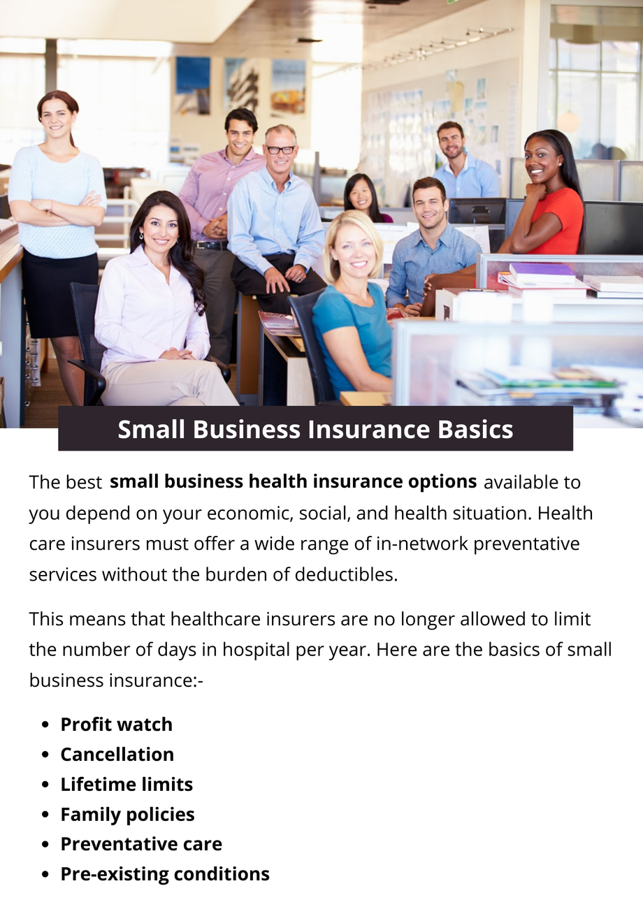 smallbusinessinsurancebasics.png