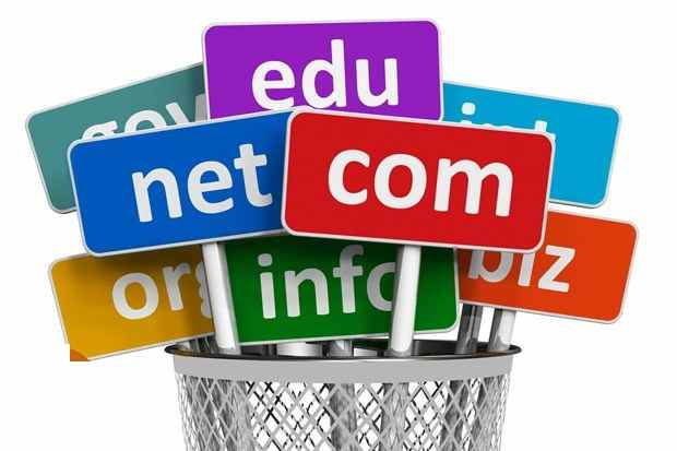 Everything about the Amazing Industry Targeted Domain Leads