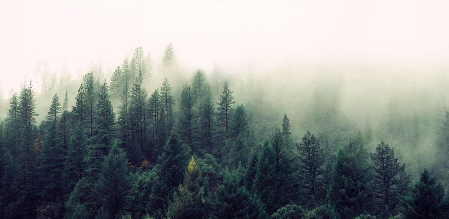 screenshot_20.jpg