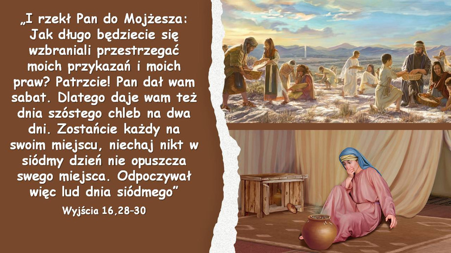 pl_vm2025t307.jpg