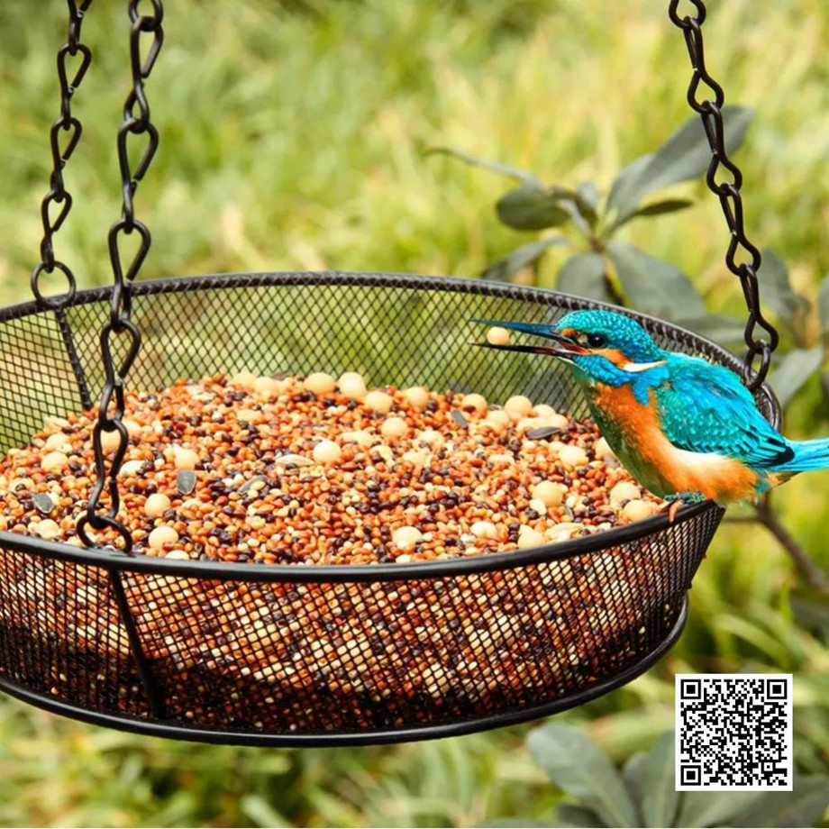 whyfallistheperfecttimetostartfeedingbirds.jpg