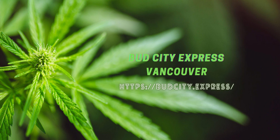 budcityexpress.jpg