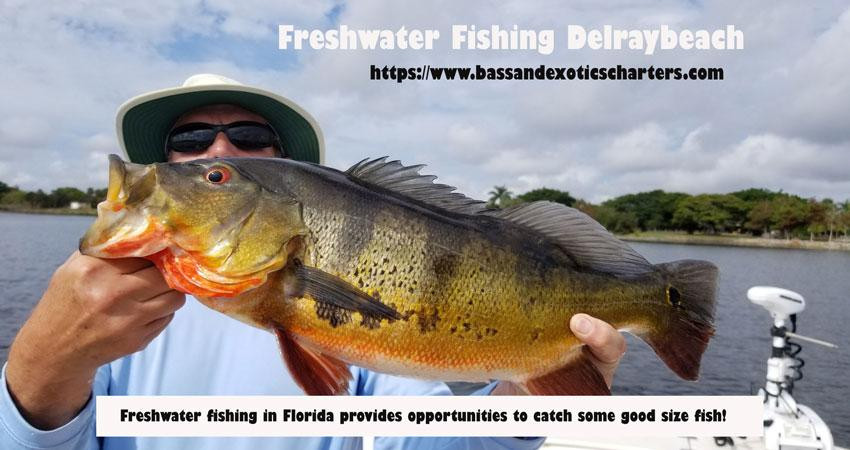 freshwaterfishingdelraybe.jpg