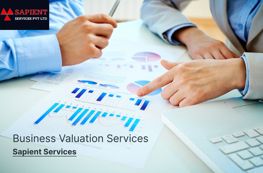 businessvaluationservices1.png