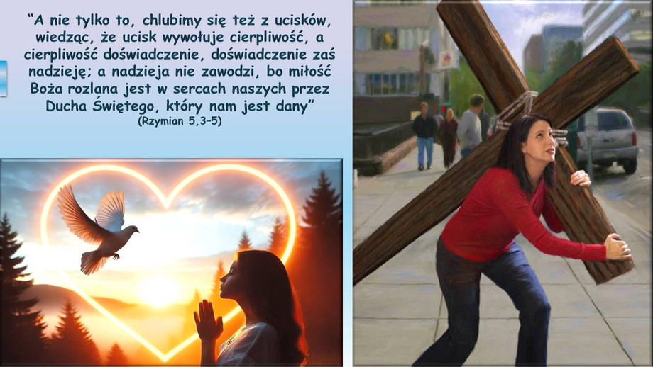 pl_vm2026t211.jpg