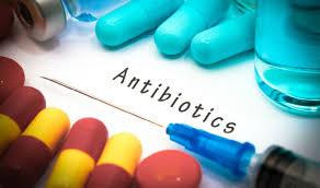 Antibiotics How much is too much.jpg