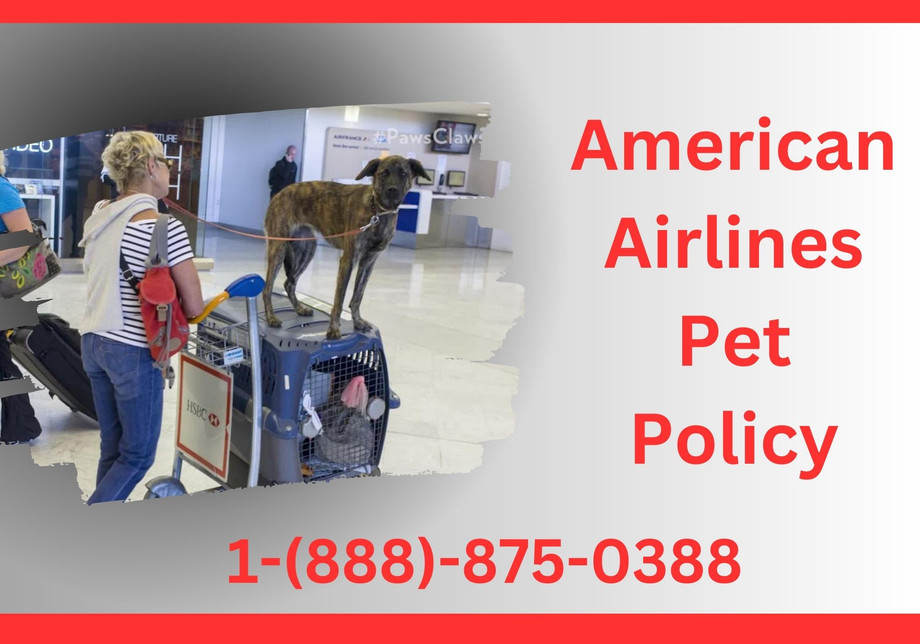 americanairlinespetpolicy1.jpg