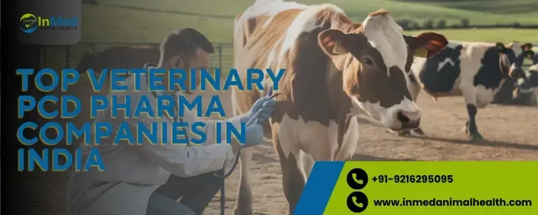 topveterinarypcdpharmacompaniesinindia.webp