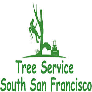 treeservicessflogo.png