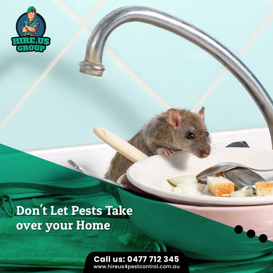 ratcontrolmelbourne.jpg