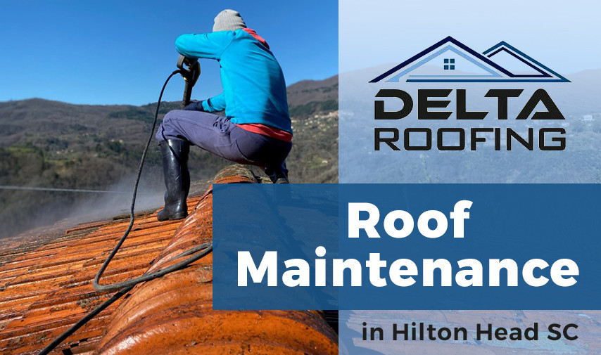 deltaroofingserviceroofmaintenance.jpg