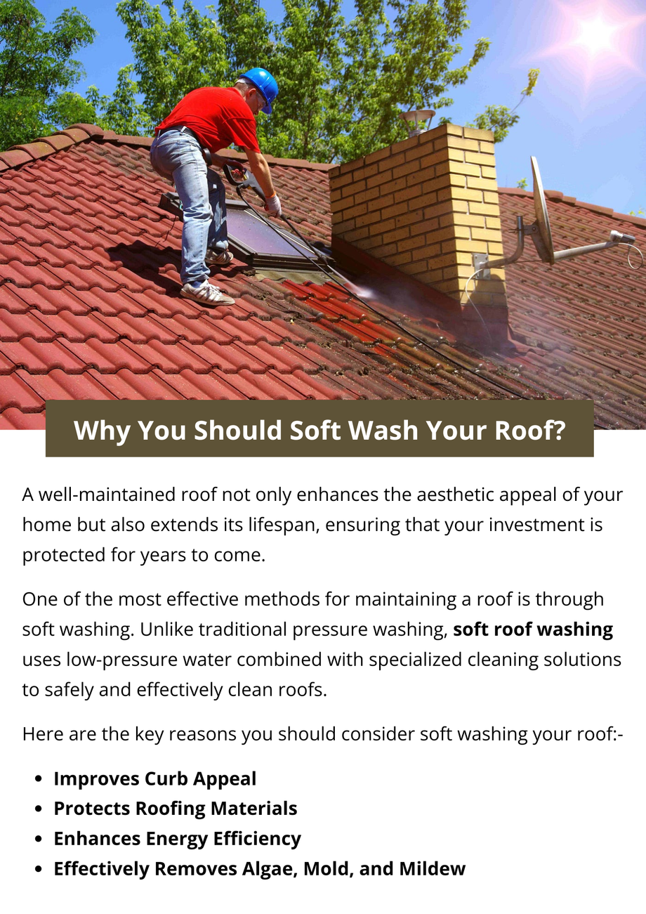 whyyoushouldsoftwashyourroof.png