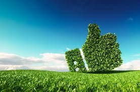 environmentalcomplianceservices.jfif