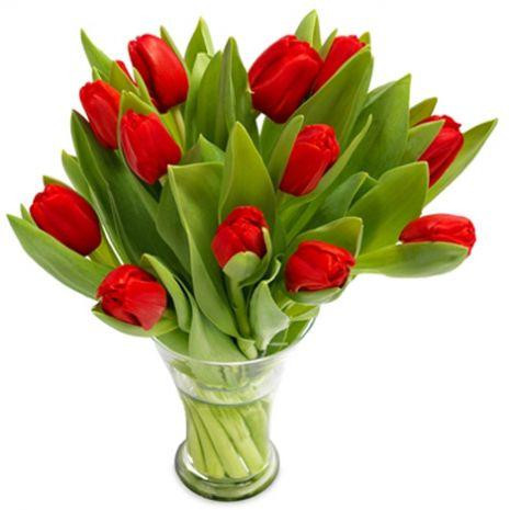 10_red_color_tulips_in_vase.jpg
