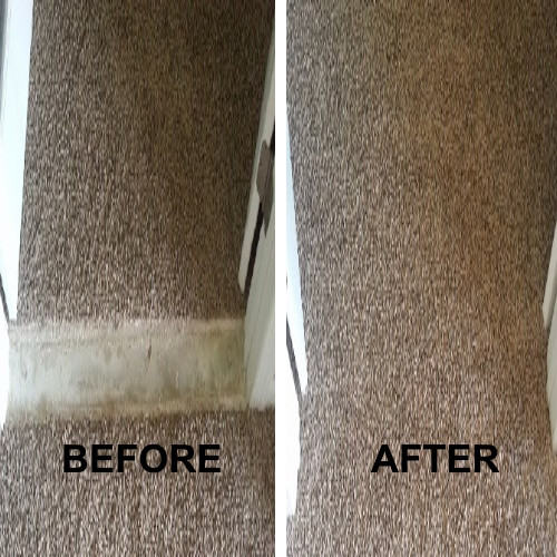 carpet_repairs_sunshine_coast.jpg