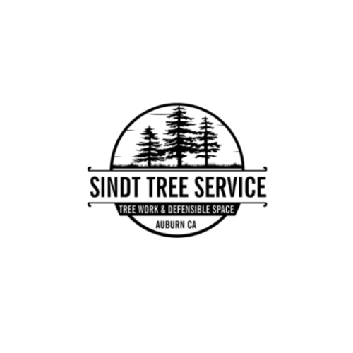 sindttreeservice.png