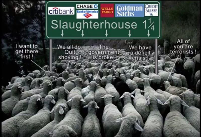 slaughterhouse.JPG