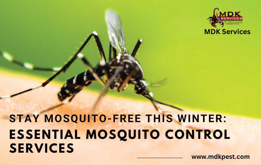 mosquotocontrolservices.jpg