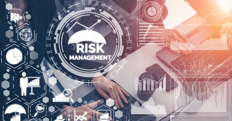 31000riskmanager.png