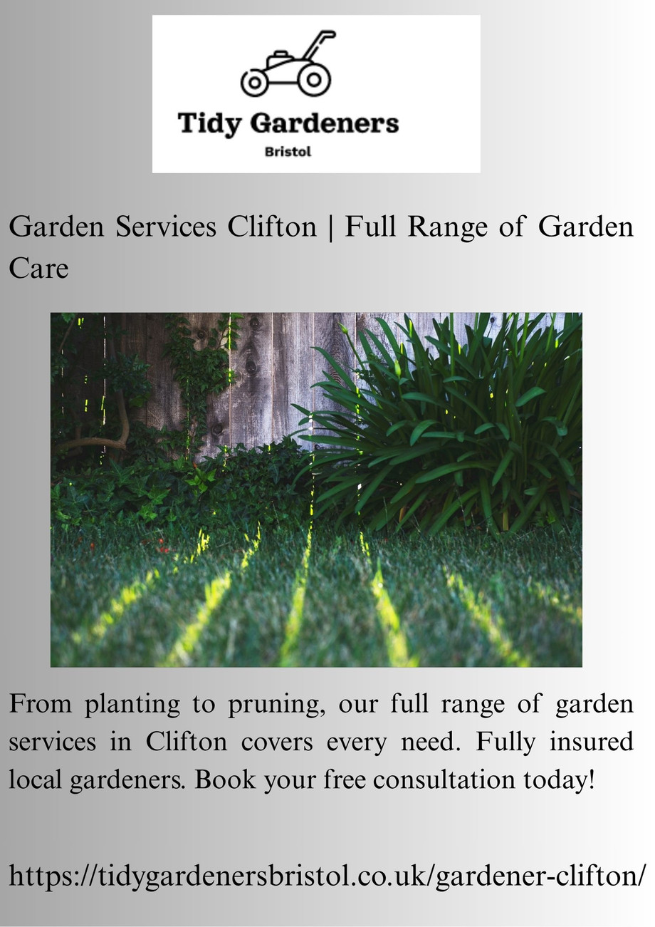 therapyonlinesessionsfloridajourneytoresiliencellc9.jpg