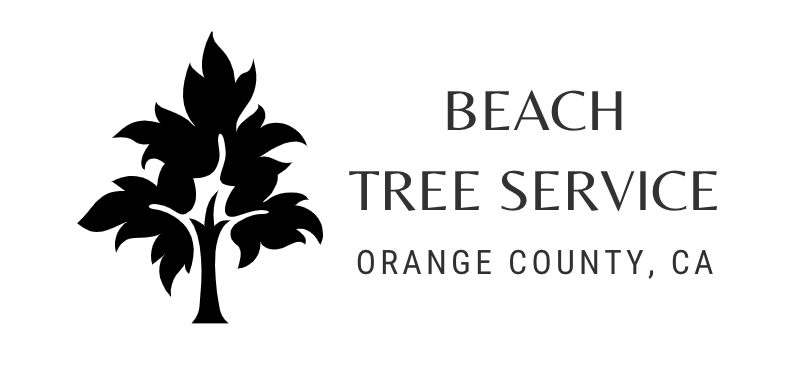 beachtreeservice.png