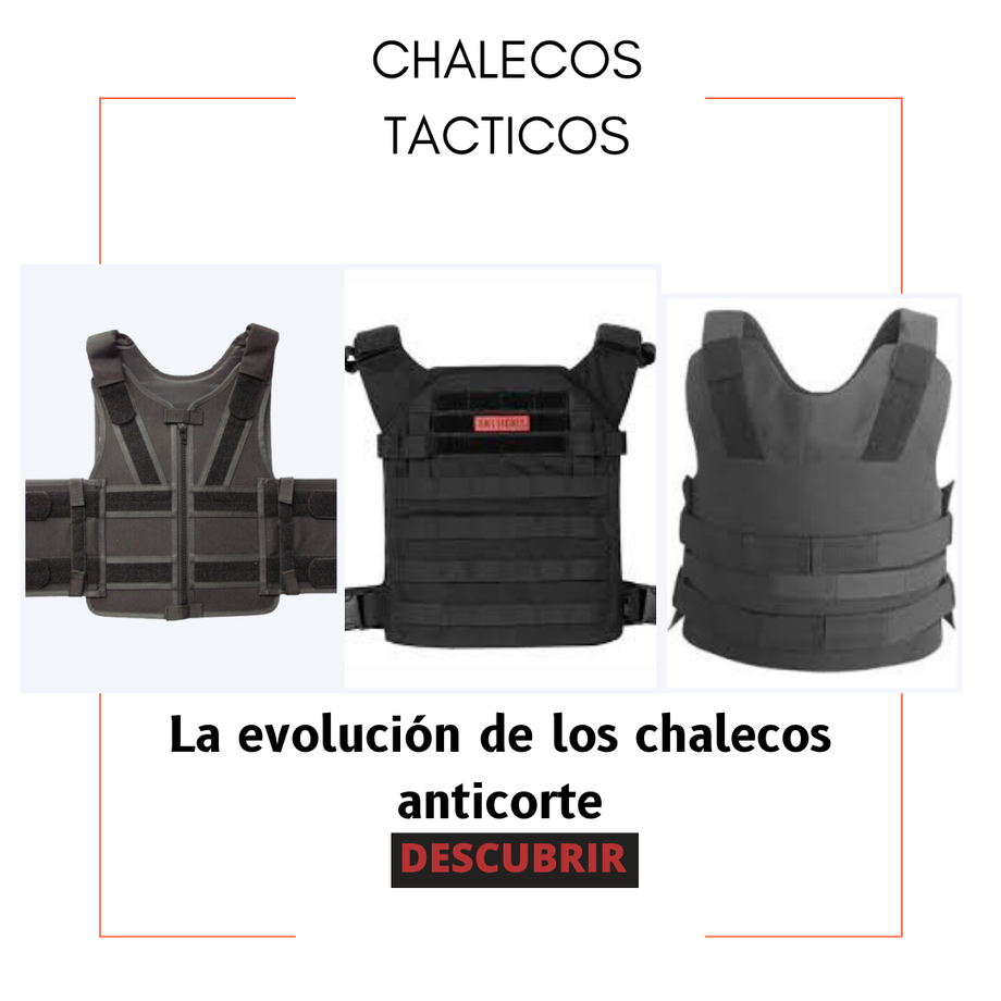 laevoluciondeloschalecosanticorte.png