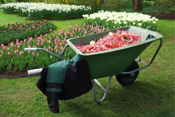 wheelbarrow-with-flowers.jpg
