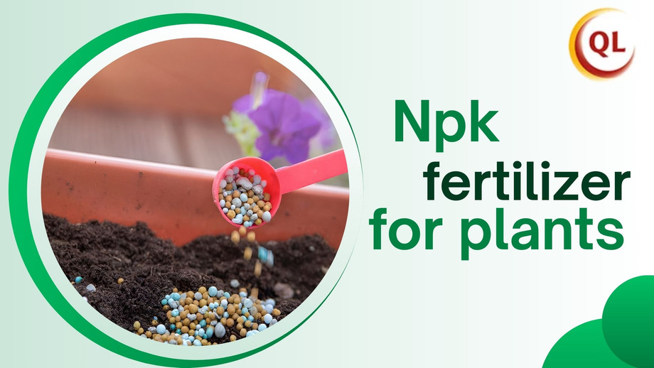 npkfertilizerforplants.jpg