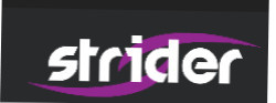 striderseo1.jpg