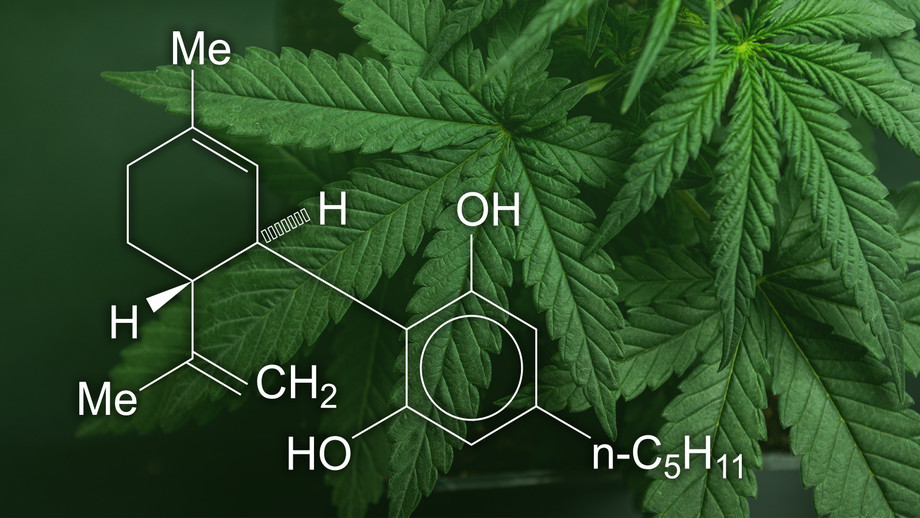 cannabidiol_cbd_cu_05_1600x900.jpg