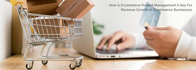 howisecommerceprojectmanagementakeyforrevenuegrowthinecommercebusinesses.jpg