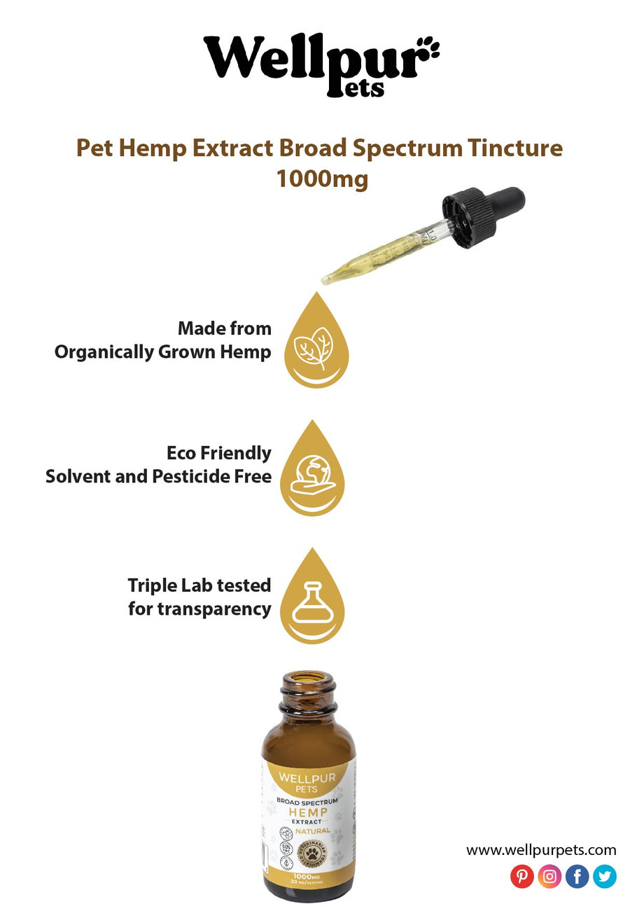 pethempextractbroadspectrumtincture1000mgwellpurpets_.jpg