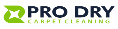 pro_dry_carpet_cleaning_team.png