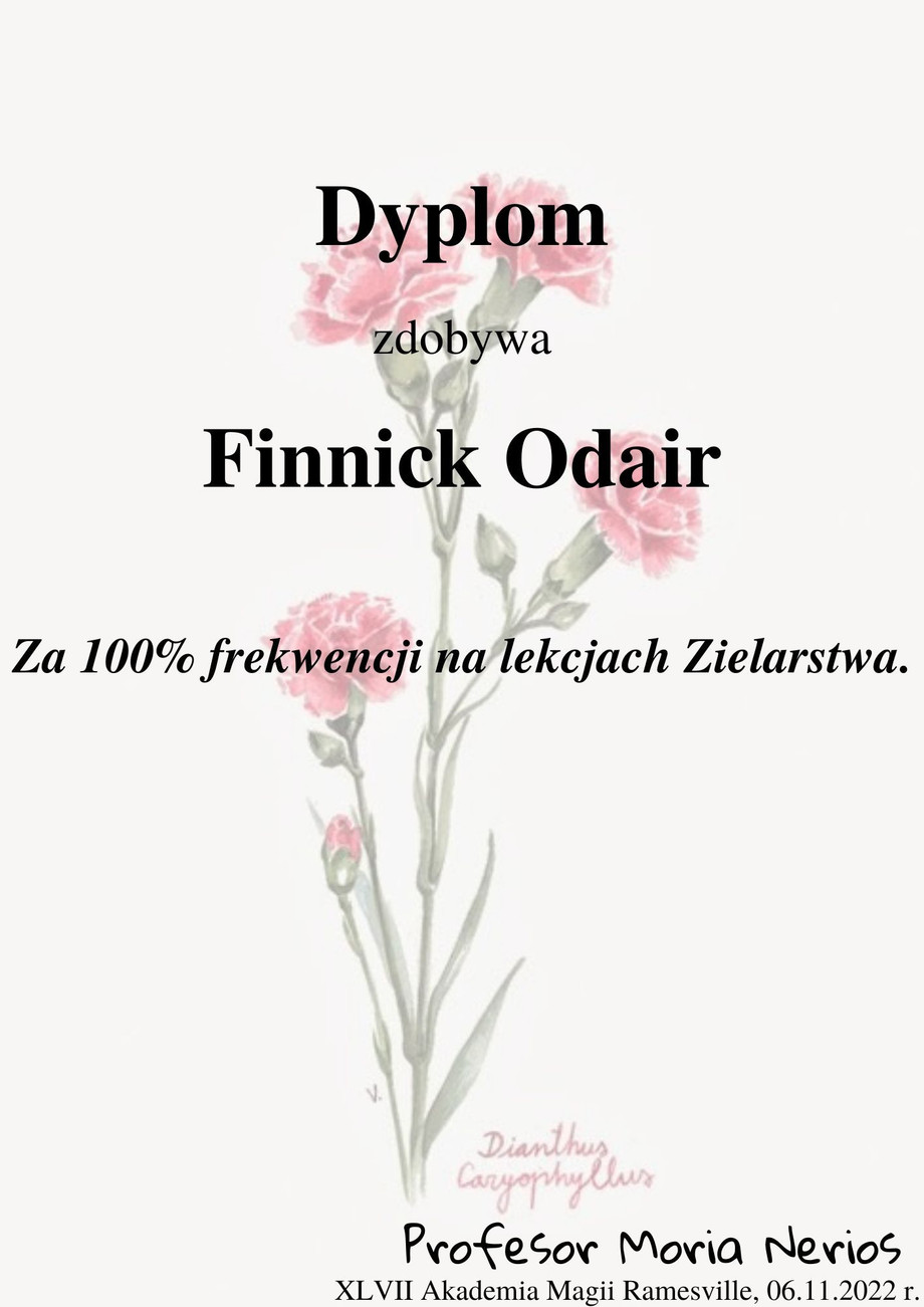 finnick.jpg