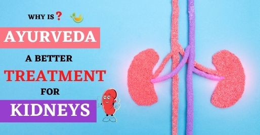 whyisayurvedaabettertreatmentforkidneys.jpg