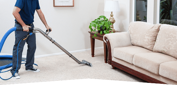 carpetcleaningcompanies.png