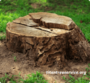 stumpgrinding.png