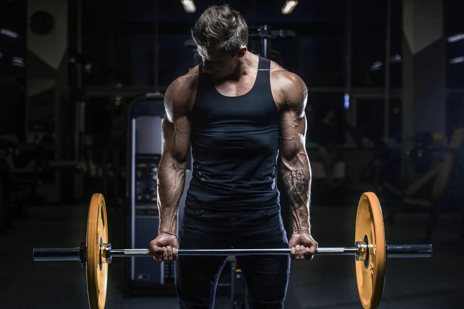 buynandrolonephenylpropionateforpurelymusclebuilding.jpg