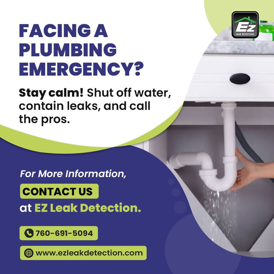 plumbingemergencykeepyourcoolshutoffthewatercontainleaksandleavetheresttotheproscontactusatezleakdetectionforswiftandreliablesolutionsyourpeaceofmindisjustacallawayfo.jpg