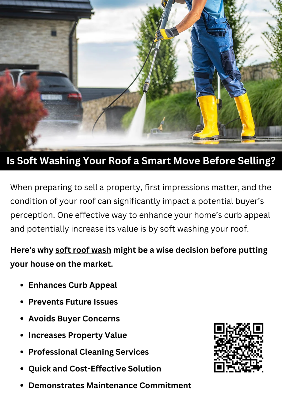 issoftwashingyourroofasmartmovebeforeselling.png
