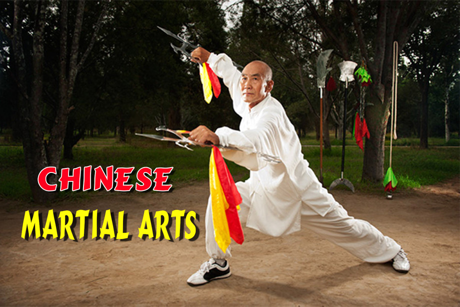 Chinese-Martial-Arts.jpg