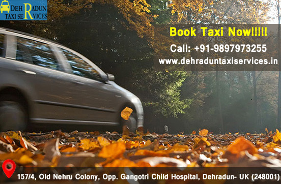 taxiservicesdehradun.jpg
