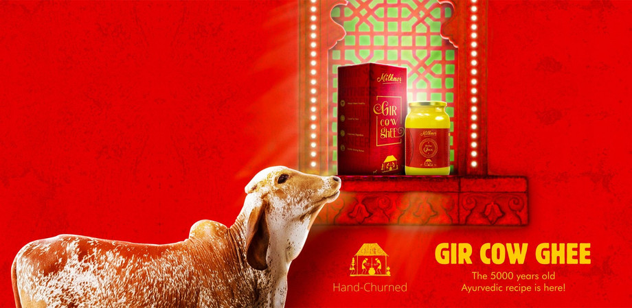 best_gir_cow_ghee_milkmor_india1915x934.jpg