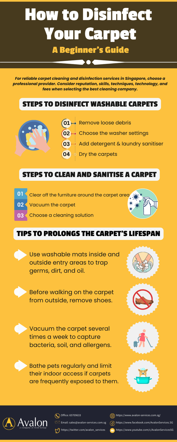 howtodisinfectyourcarpetabeginnersguide.png
