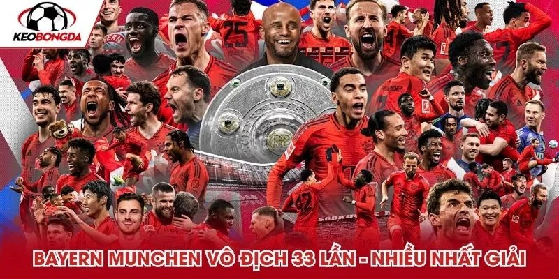 bayernmunchenvodich33lannh.jpg